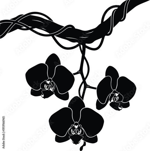 Orchid flower branch silhouette vector illustration botanical decor design asset