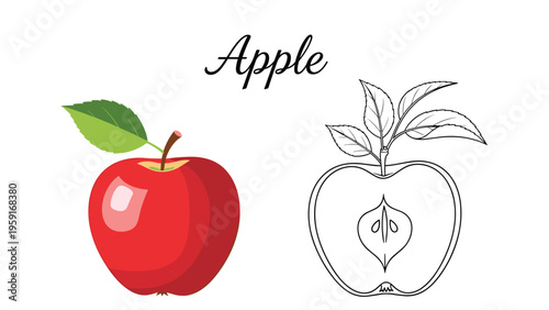 Red apple fruit with a green leaf displayed next to its black and white line art version for coloring book or educational use.
