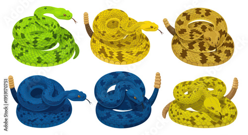 Vibrant Rattlesnake Collection: Six Colorful Reptiles in Defensive Coils