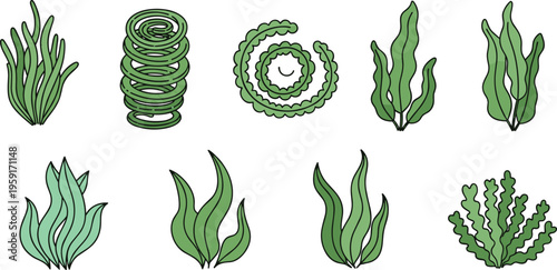 Vintage Hand Sketched Aquatic Pondweed and Submerged Greenery Vector Set Featuring Spiral Stems and Feathered Foliage with Etched Texture for Nature Education Graphic Designs