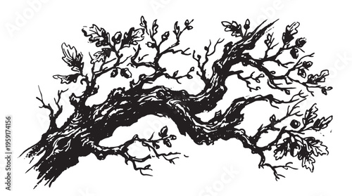 Black tree branch, twisted roots, vector illustration, monochrome design element
