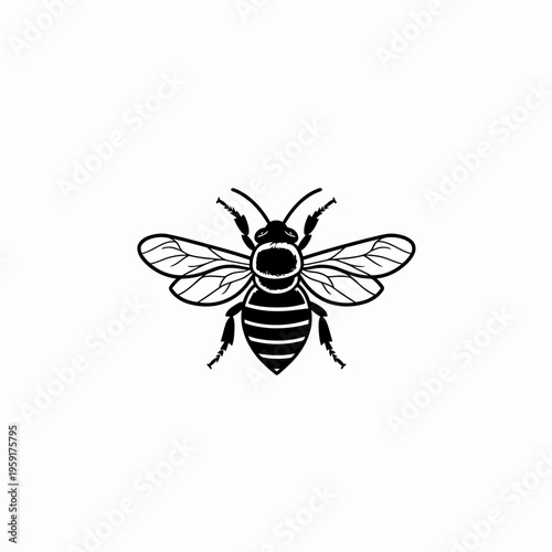 Black and white illustration of a bee with detailed wings insect art