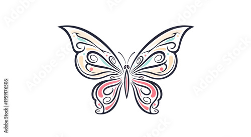 Colorful Butterfly with Open Wings.