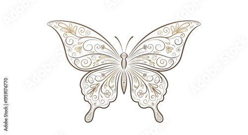 Beautiful Butterfly with Decorative Wings.
