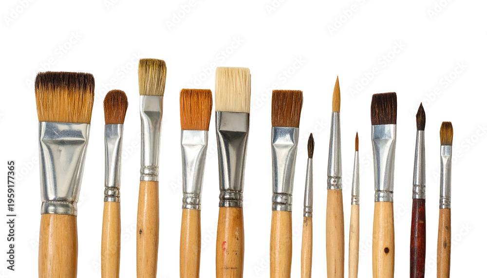Fototapeta premium Various paintbrushes of different sizes and shapes, arranged neatly against a black backdrop