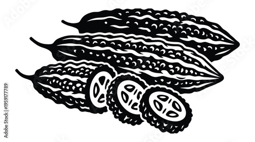 Bitter melon vegetable fruit hand drawn vector illustration healthy food