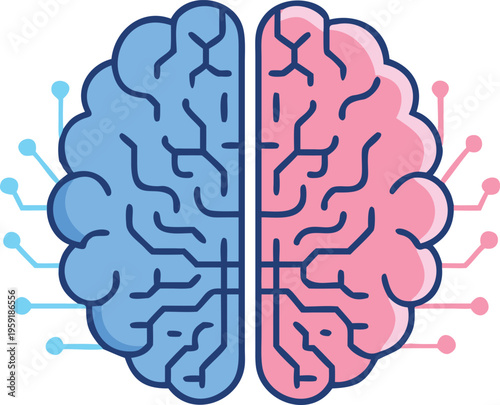A colorful illustration of a human brain with two hemispheres
