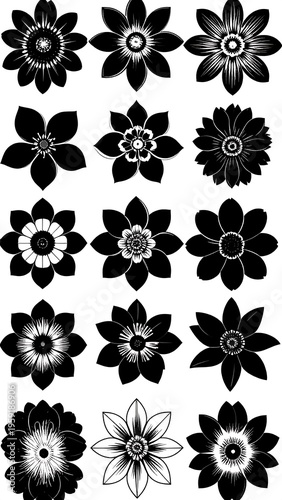 Black and white flower patterns
