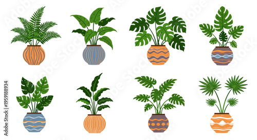 Collection of eight potted houseplants with diverse foliage and decorative pots.