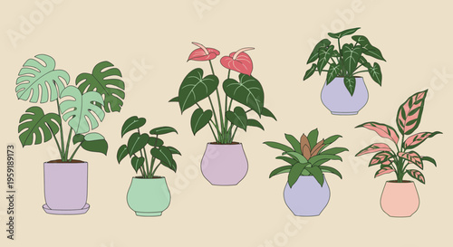 Collection of Potted Houseplants in Pastel Colors.