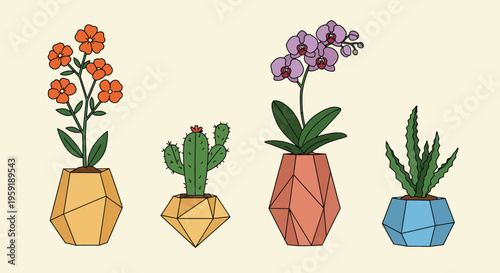Set of four potted plants in geometric pots.