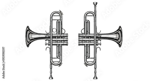 Two detailed vintage style trumpet musical instruments facing opposite directions isolated on a white background for music