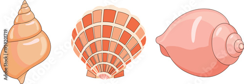 Seashell Vector Set Featuring Spiral Shell, Scallop and Conch in Soft Coastal Colors for Beach, Marine and Summer Design Collection