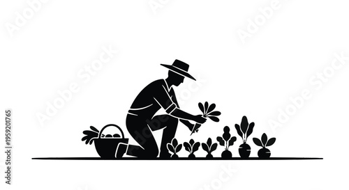 Farmer tending to crops in a garden, harvesting fresh produce with care.