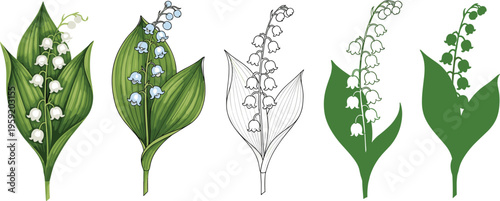 Lily of the Valley Vector Set Featuring Botanical Flowers in Color and Outline Styles, Spring Floral Illustration Collection for Nature Design