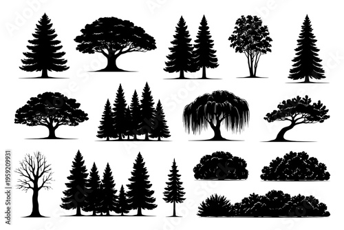 Silhouette collection of various tree species including pine, oak, and willow.