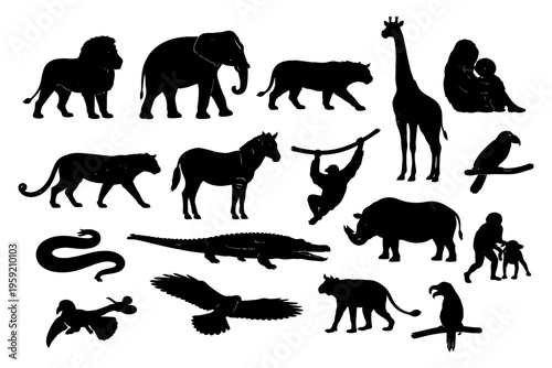 Silhouette of diverse wildlife animals including lion elephant giraffe and monkey.