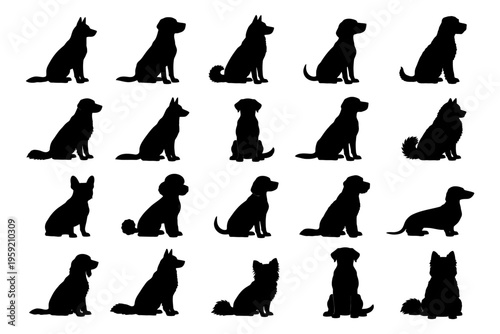 Diverse dog silhouettes collection featuring various breeds in profile view.