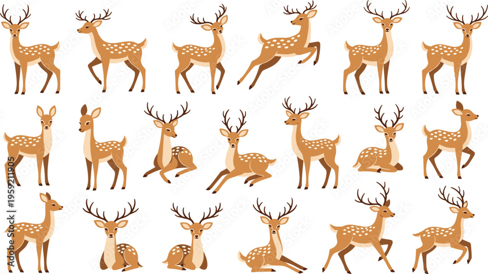 Fototapeta premium Deer Vector Collection Featuring Cute Woodland Reindeer Characters in Various Poses, Forest Animal Illustration Set Isolated on White Background
