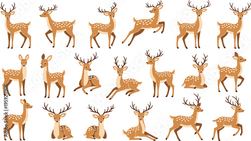 Deer Vector Collection Featuring Cute Woodland Reindeer Characters in Various Poses, Forest Animal Illustration Set Isolated on White Background