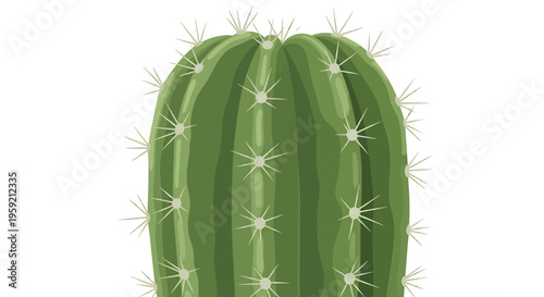 Green Cactus Plant Closeup View.