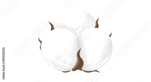 Cotton Bolls and Natural Fibers.