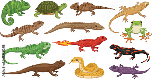 Reptiles and amphibians collection with lizards frogs salamander turtle snake and chameleon colorful wildlife vector illustration set