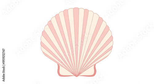 Pink seashell with stripes shell.