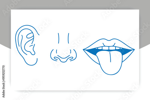 Senses Illustration: A graphic illustration showcases the basic human senses through detailed drawings of the ear, nose, and mouth, hinting at the sensory experience.