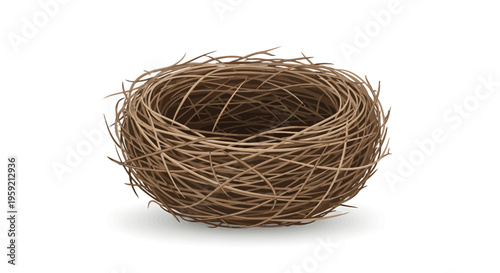 Bird Nest Made of Twigs Alone.