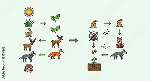Ecosystem Balance and Food Chain Disruption Illustration