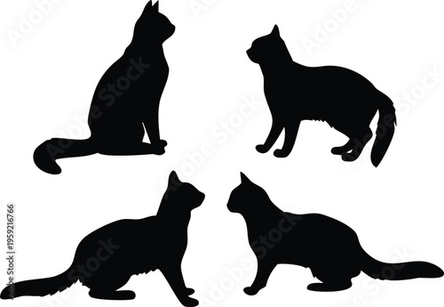 Four black silhouettes of cats in various poses are shown
