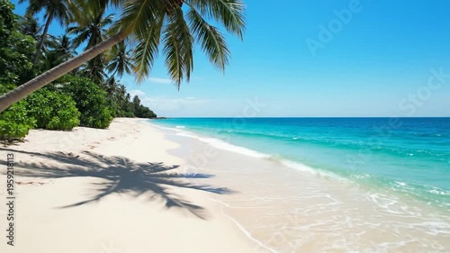 Tropical beach with palm trees and clear blue ocean water