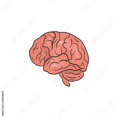 Human brain anatomy hand drawn illustration
