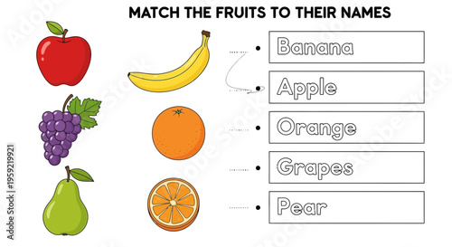 A colorful vector graphic illustrating a fruit matching game for children