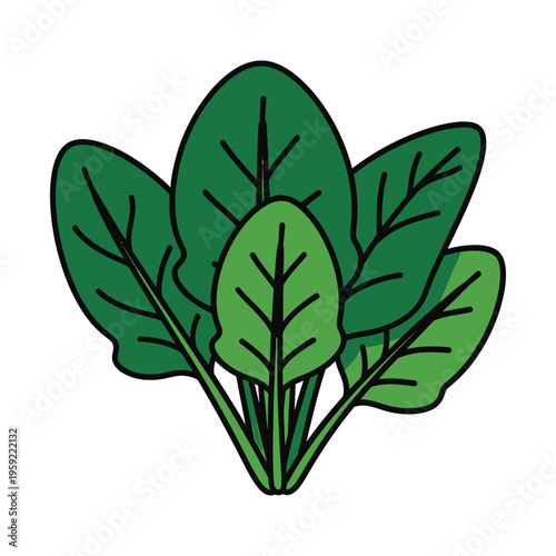 A vibrant illustration of fresh green spinach leaves, depicting healthy and organic produce.