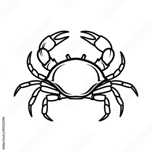 Detailed black and white outline drawing of a crab, featuring its shell, claws, and legs in a symmetrical illustration.