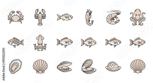 Collection of Various Marine Life and Shells for Ocean Theme Design
