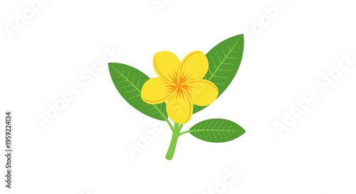 Vibrant Yellow Frangipani Flower with Green Leaves on White Background