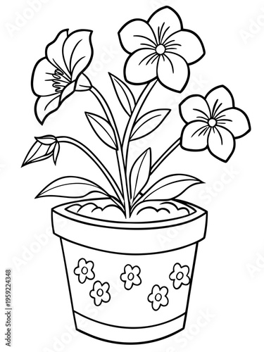 flower in pot