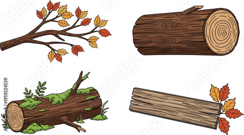 Wood Log and Branch Vector Set with Autumn Leaves, Tree Stumps, and Forest Elements for Nature, Forestry, and Outdoor Designs