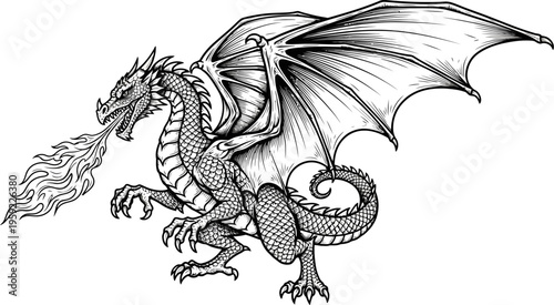 Western dragon breathing fire in combat stance