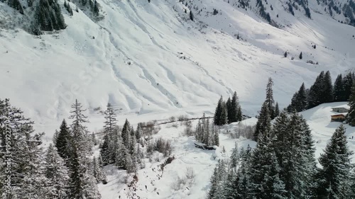 snow covered mountains