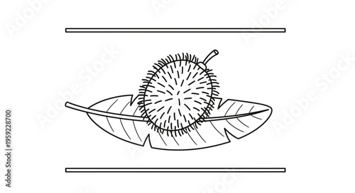 Durian Fruit on Banana Leaf, Hand-Drawn Sketch, Tropical Food Icon