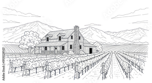 Vineyard Estate Drawing: Rural Winery House with Rolling Hills and Grape Vines