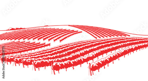 Vibrant Red Vineyard Rows on Rolling Hills, Winery Landscape