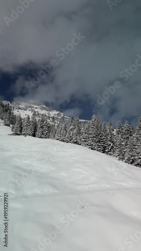 snow covered mountains