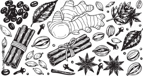 Aromatic collection of hand drawn vector spice elements featuring ginger root bundled cinnamon sticks cardamom pods star anise cloves coffee beans and textured leaves scattered