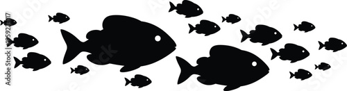 Black, silhouette, school, of, fish, swimming, together, in, a, group, isolated, on, white, background, vector, illustration, for, nautical, aquatic, design.
