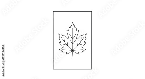 Canadian Maple Leaf Outline Icon Vector Illustration